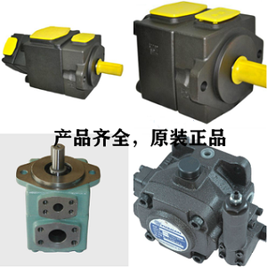 <a href='http://longteqi.com' target='_blank'><u>YUKEN葉片泵</u></a>